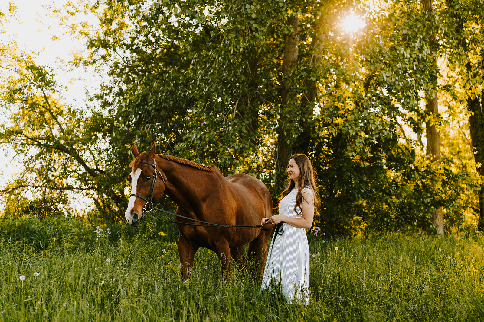 Macomb Equine Photographer