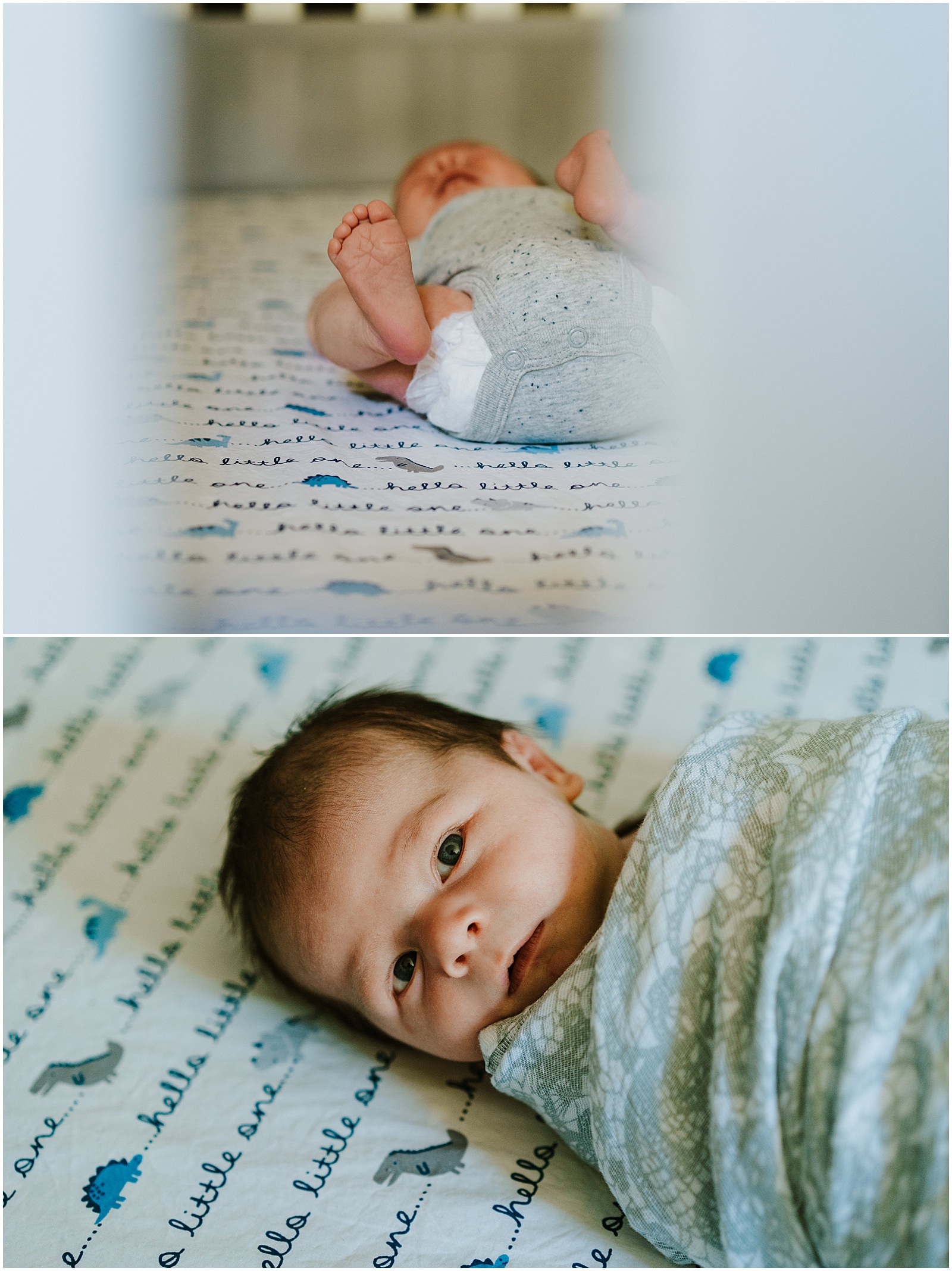 Shelby Township Newborn Photographer