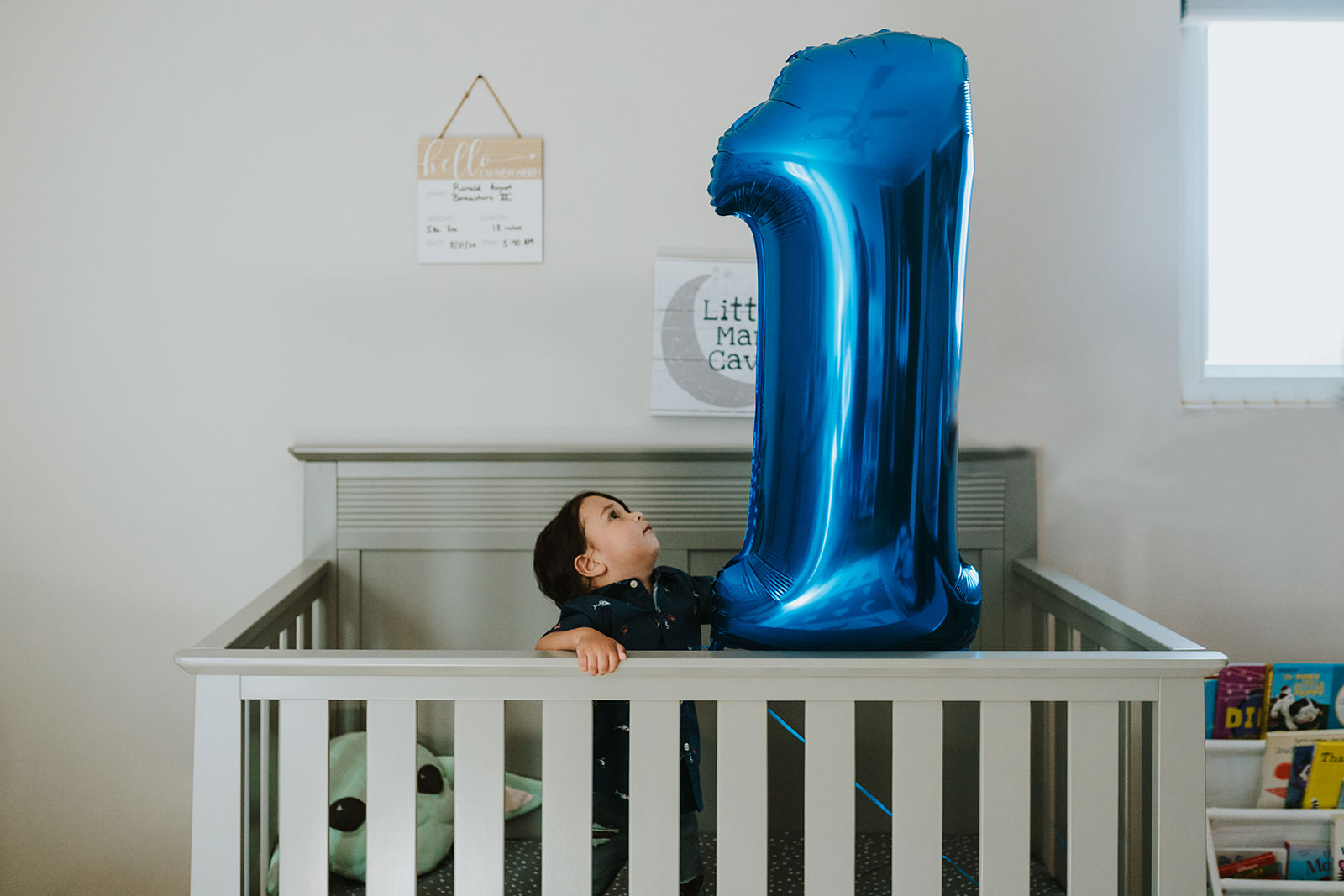 Grosse Pointe First Birthday Session | Ronnie