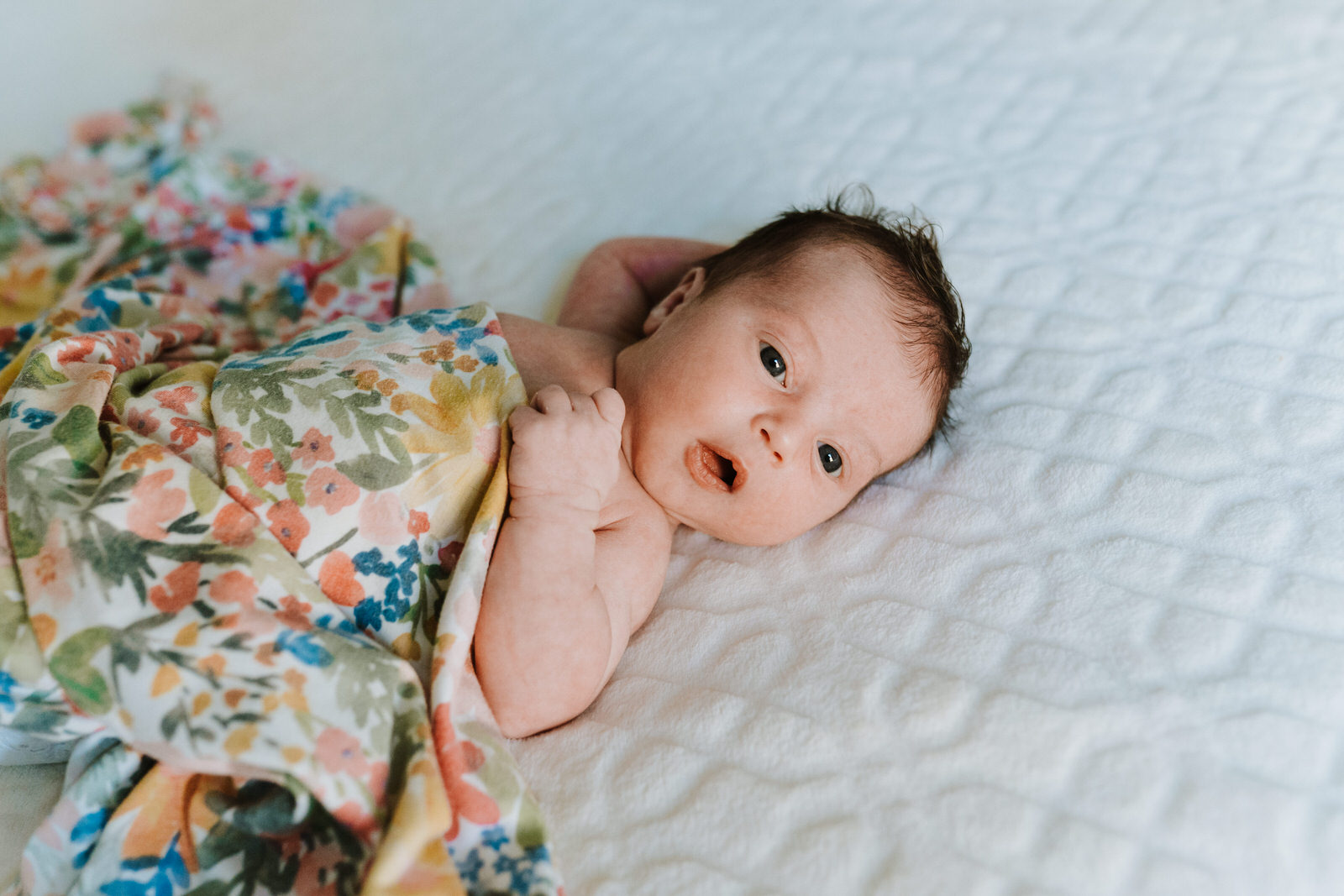 Dearborn Newborn Photographer