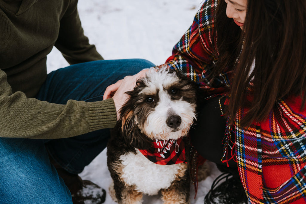 Winter Stony Creek Metropark Engagement Session