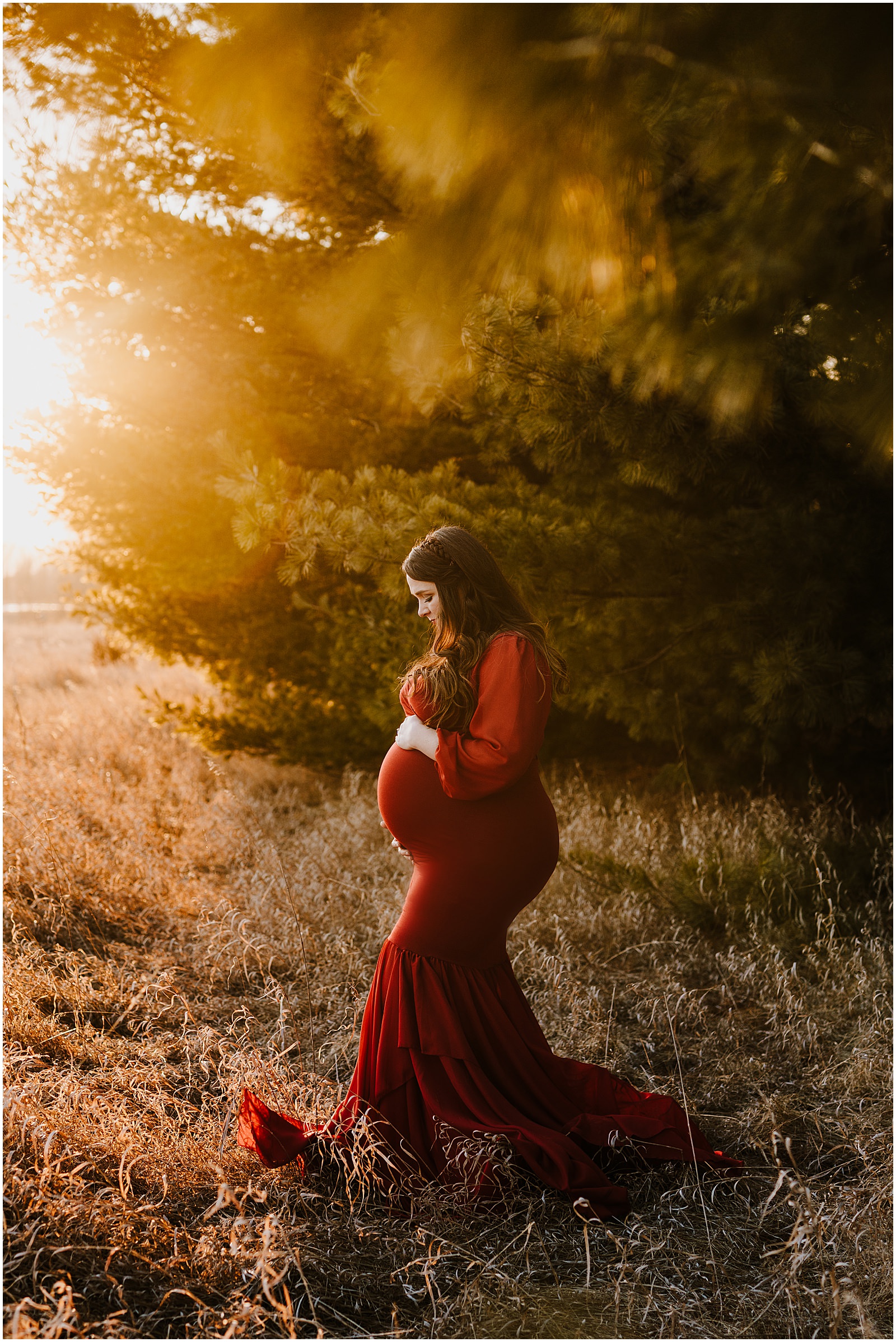 Winter Maybury State Park Maternity Session