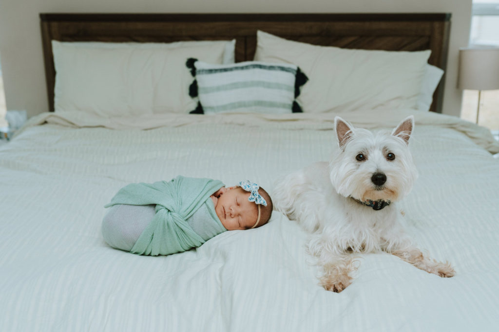 Ypsilanti Newborn Photographer