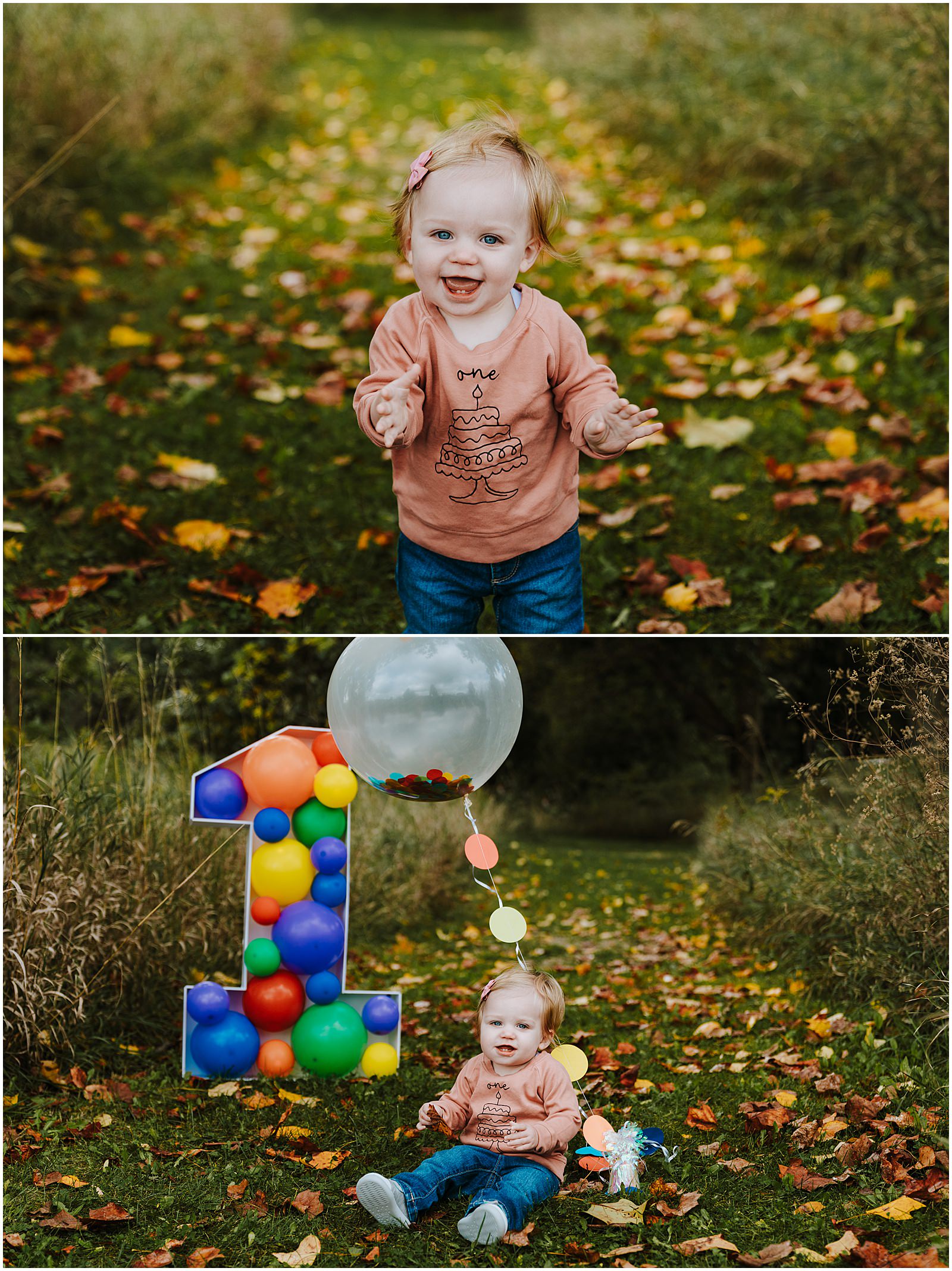 Northville First Birthday Session