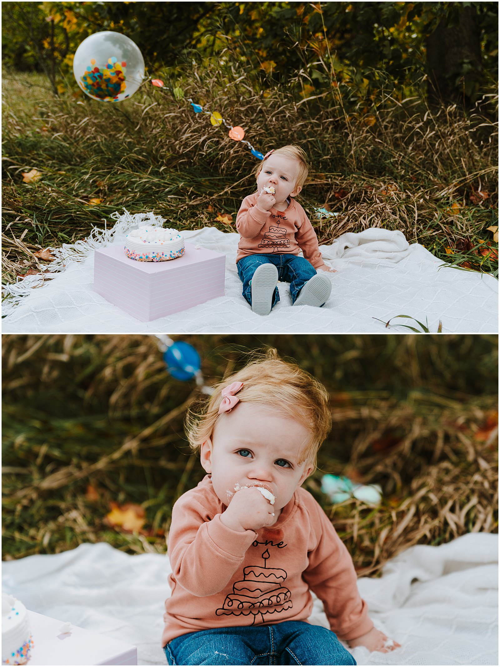 Northville First Birthday Session