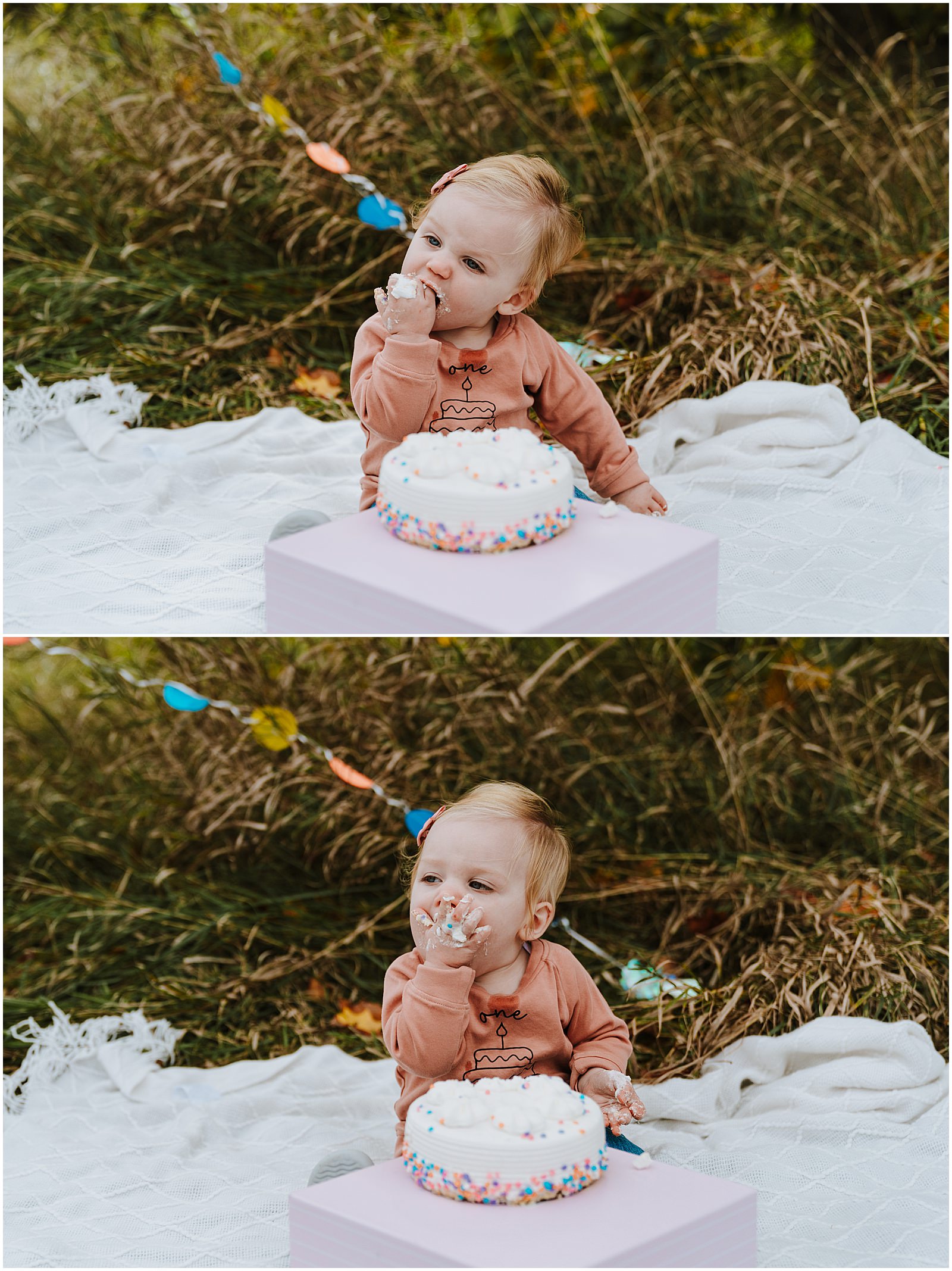 Northville First Birthday Session