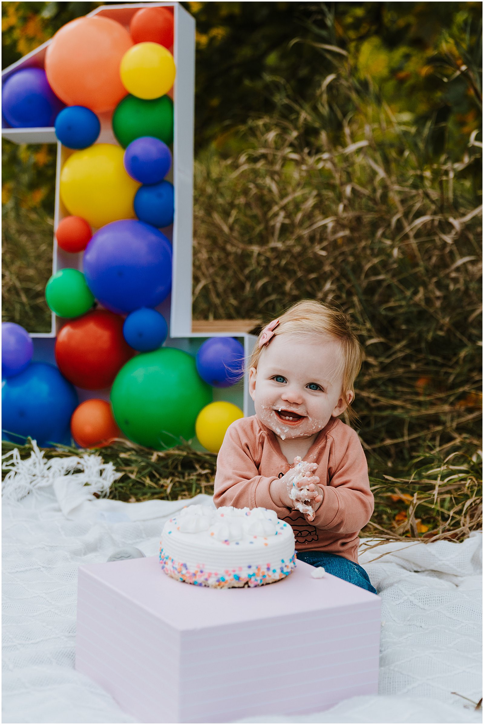 Northville First Birthday Session