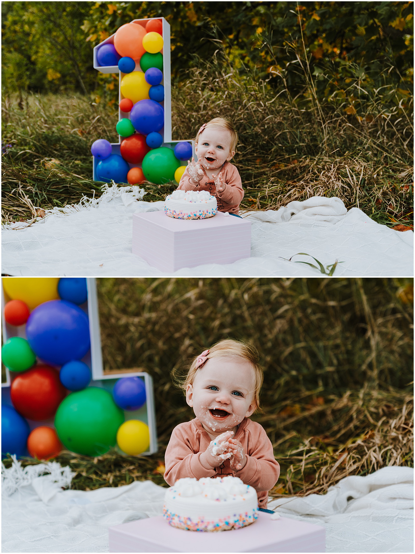 Northville First Birthday Session