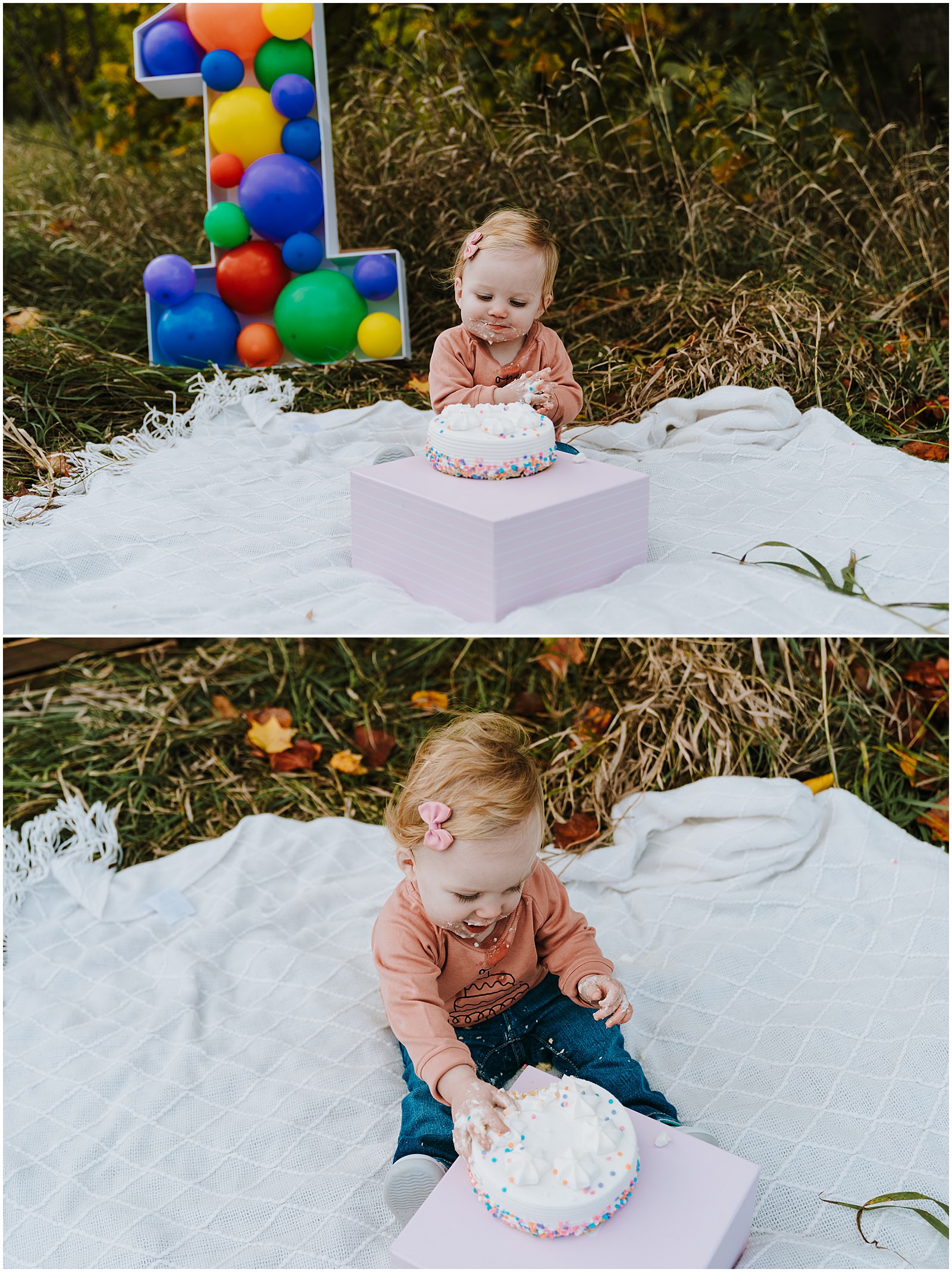 Northville First Birthday Session