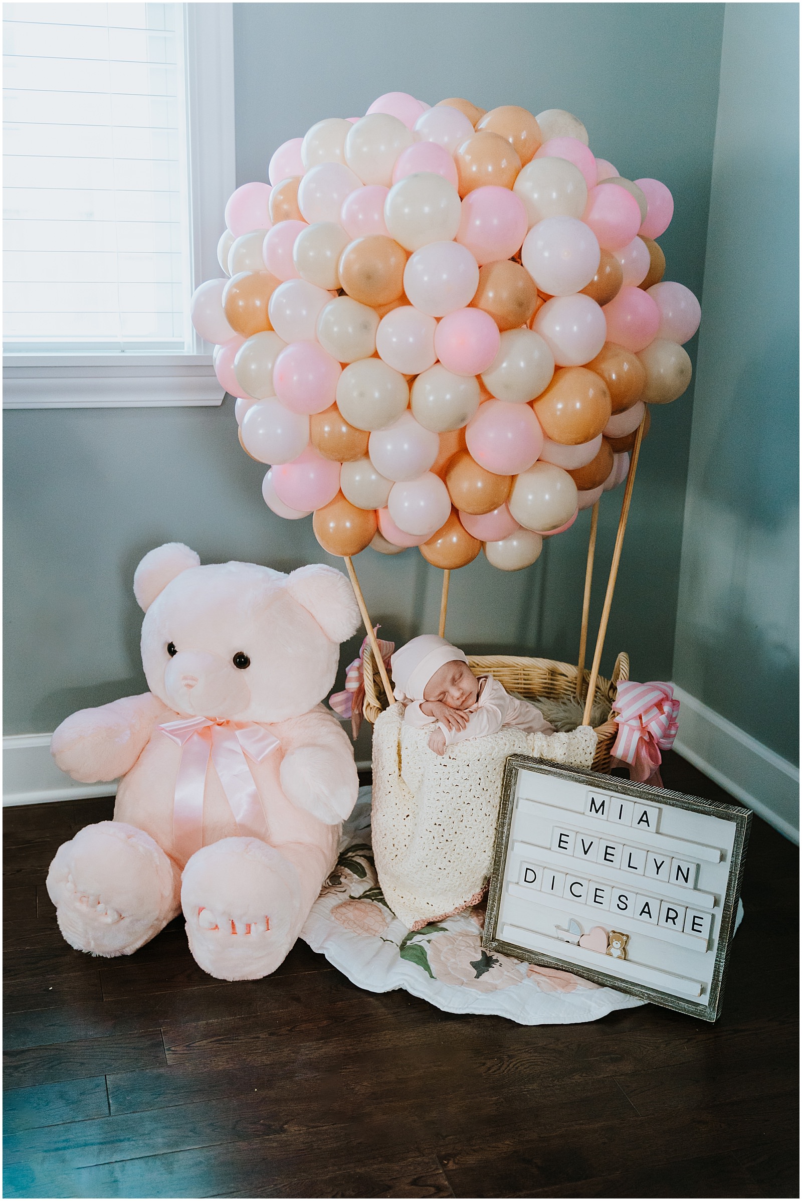 Royal Oak In Home Newborn Session