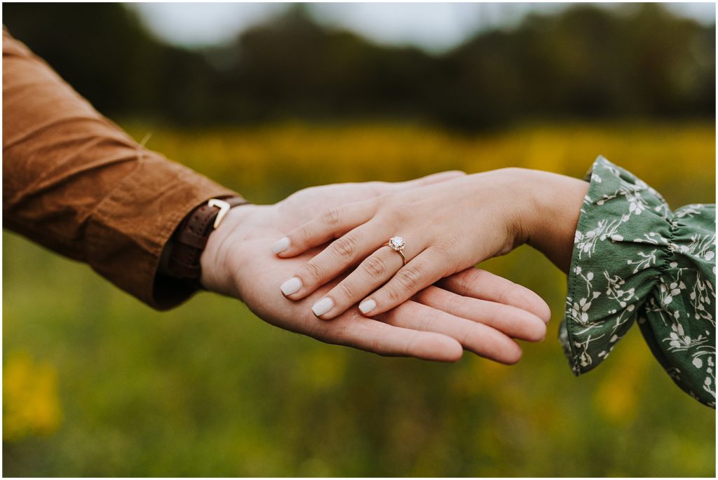 Summer Rochester MI Engagement Session