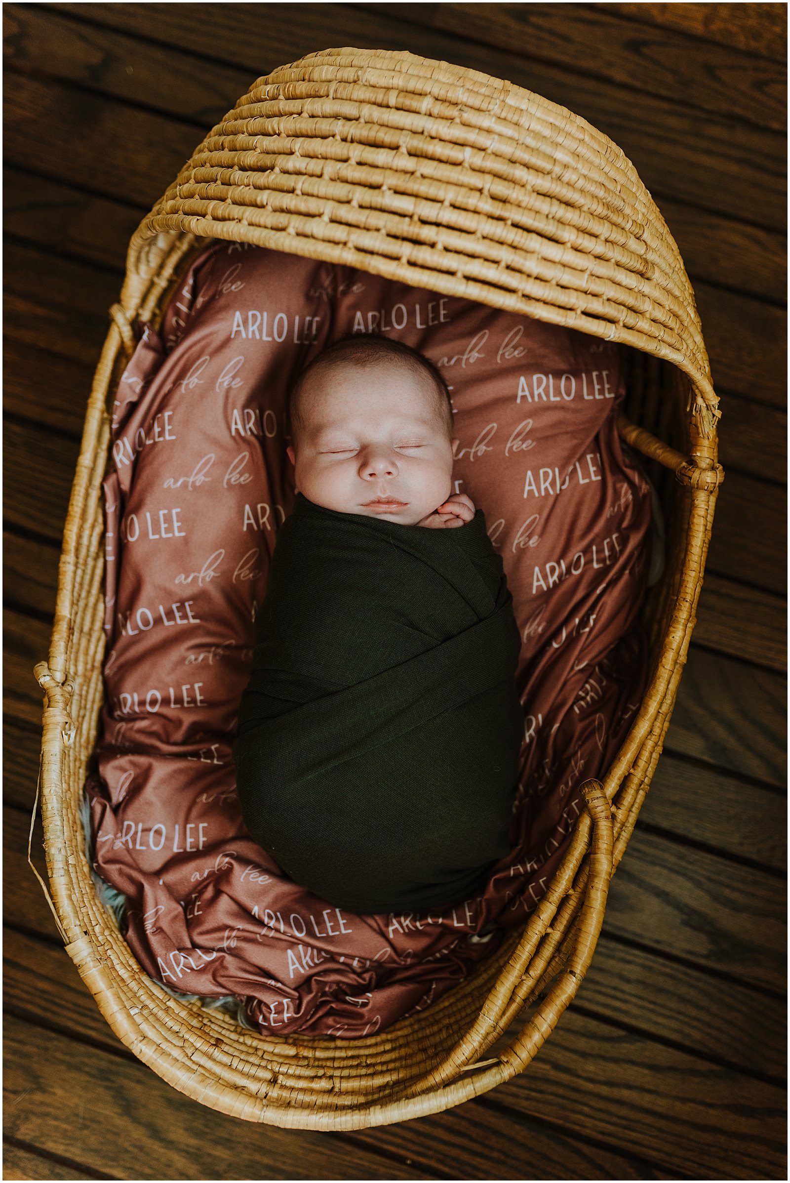 At Home Livonia Newborn Photographer