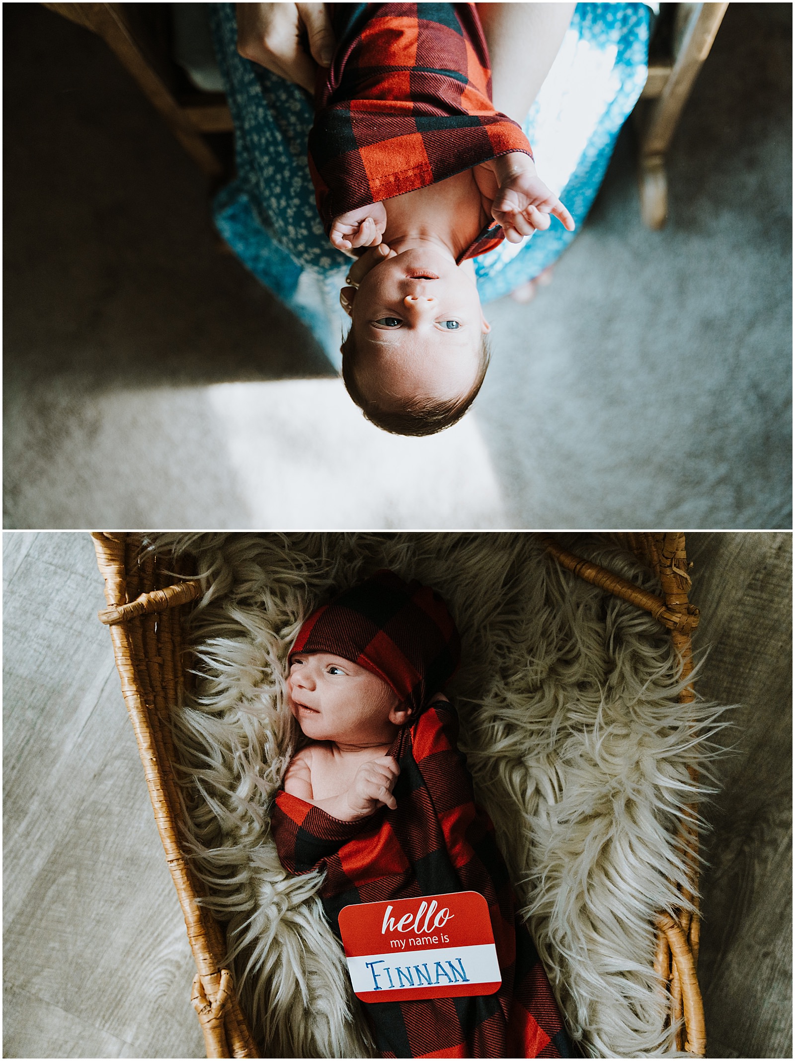 White Lake Newborn Session