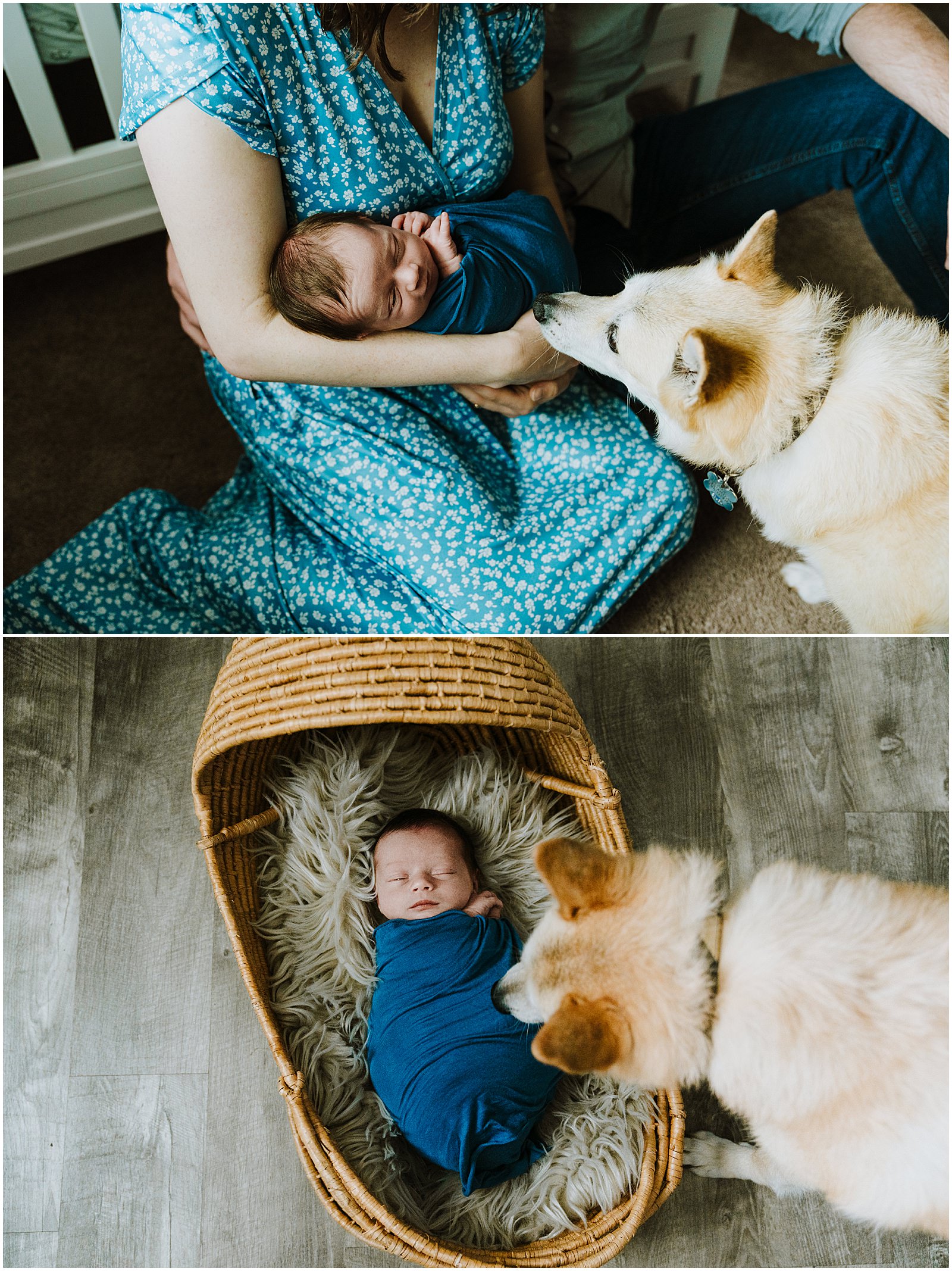 White Lake Newborn Session