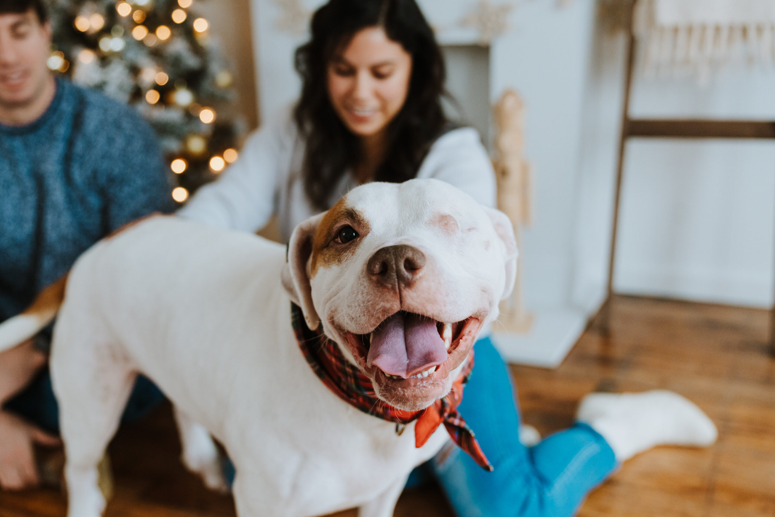 MMP2024-11-24-HOLIDAYSTUDIO-2507