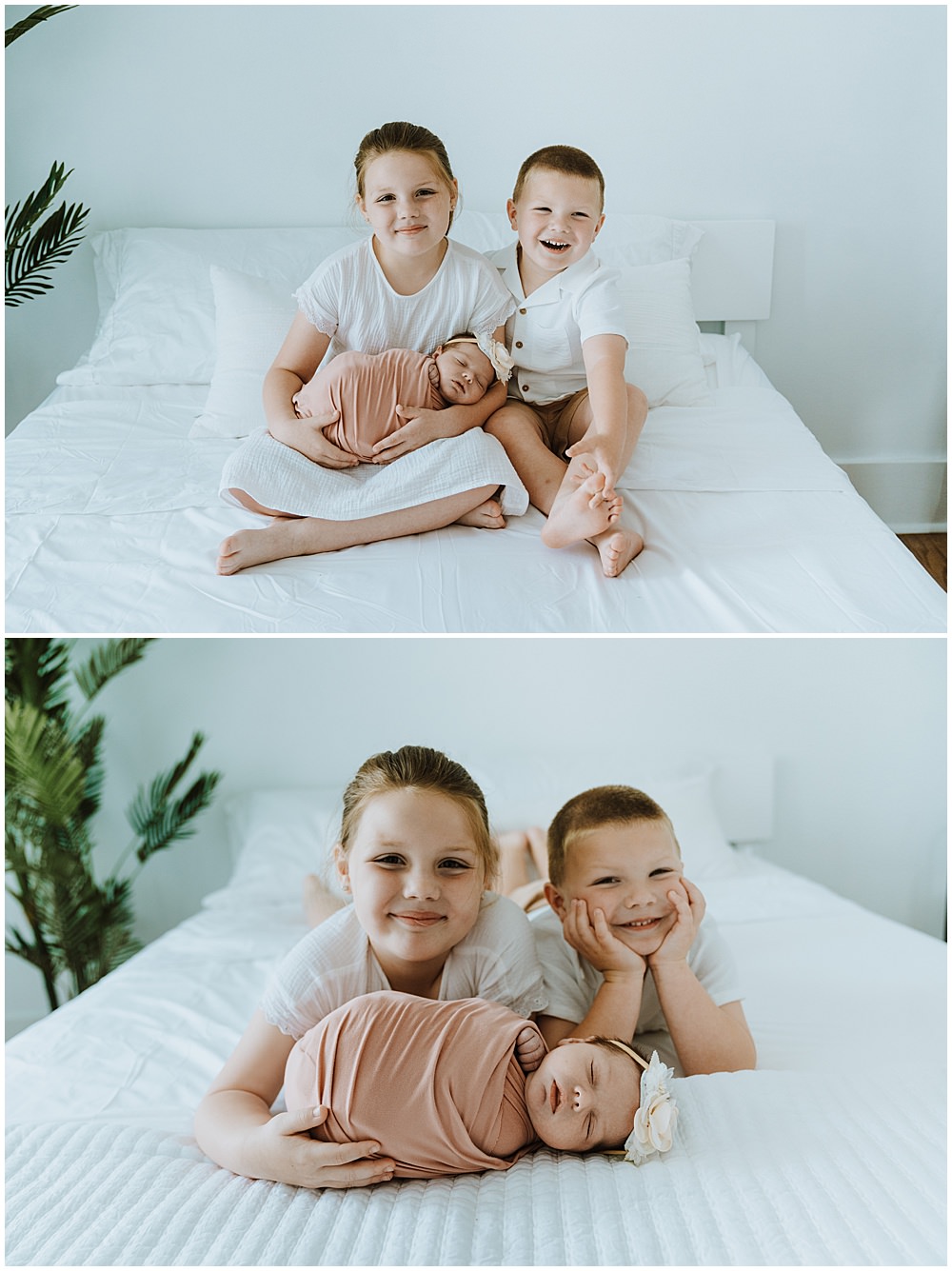 Royal Oak Studio Newborn Session
