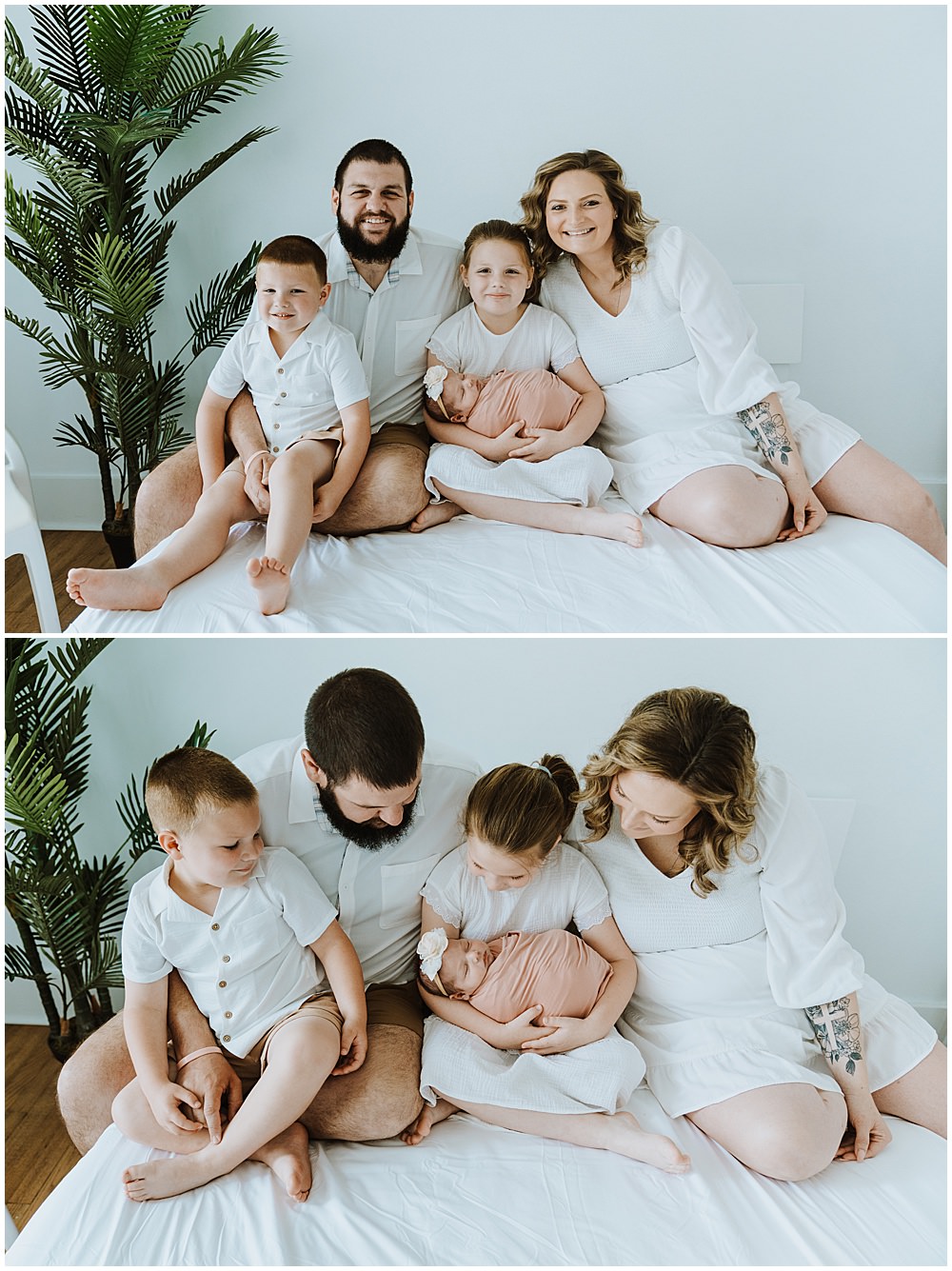 Royal Oak Studio Newborn Session
