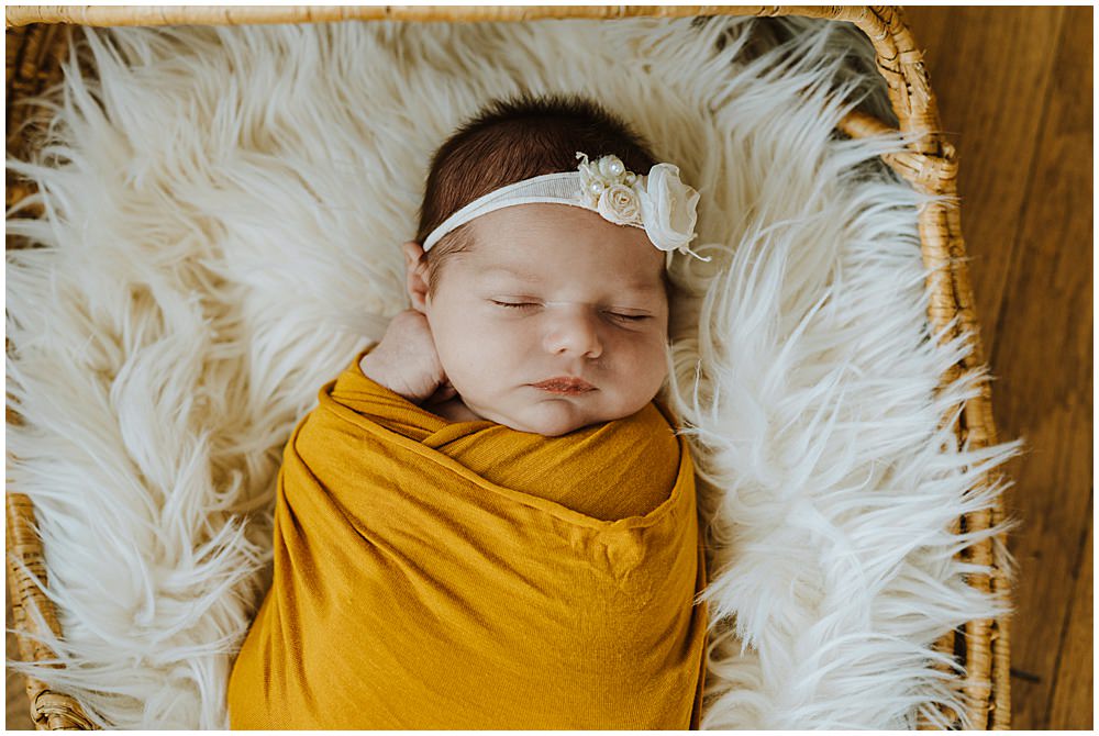 Royal Oak Studio Newborn Photographer