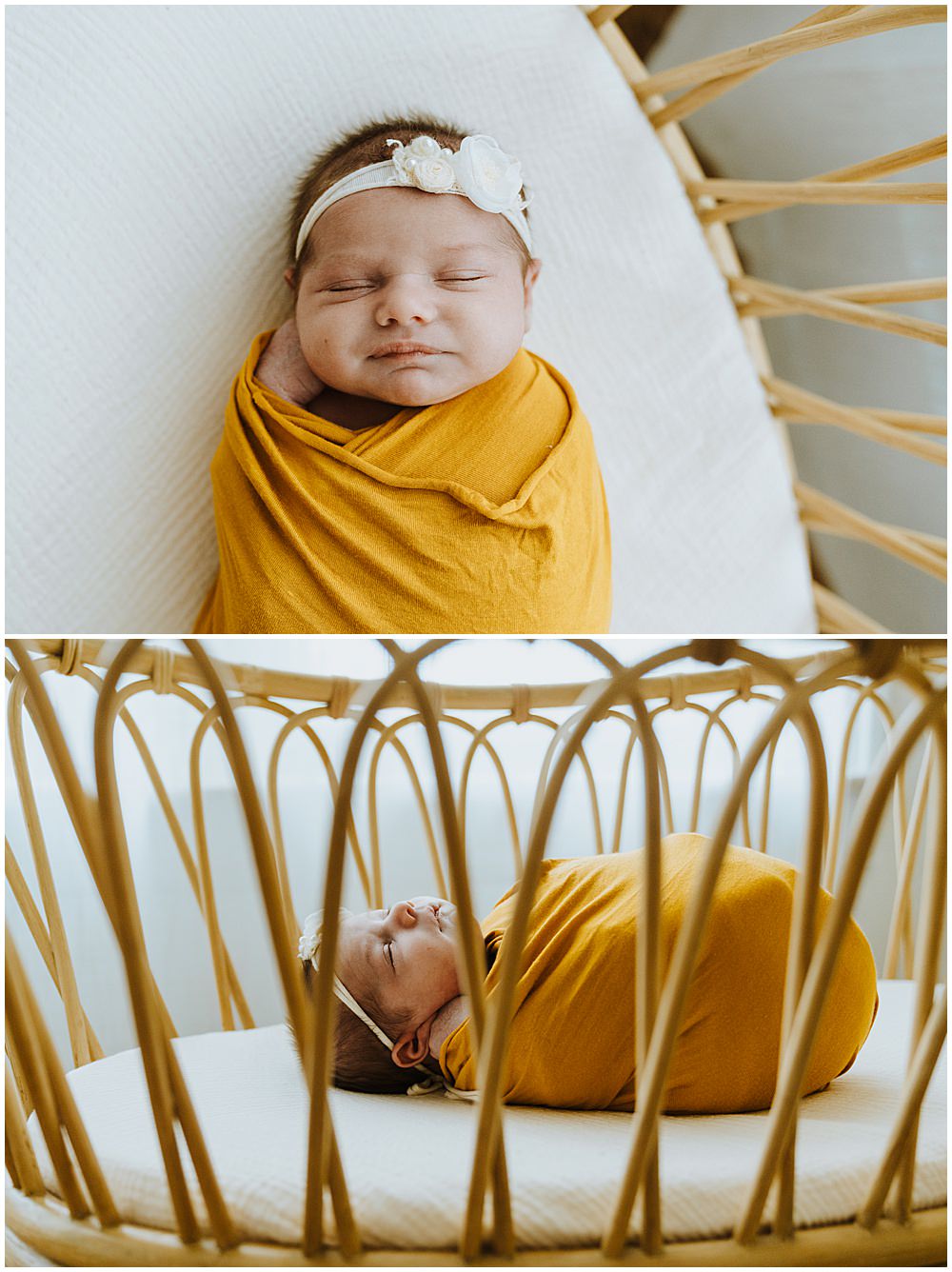 Royal Oak Studio Newborn Photographer