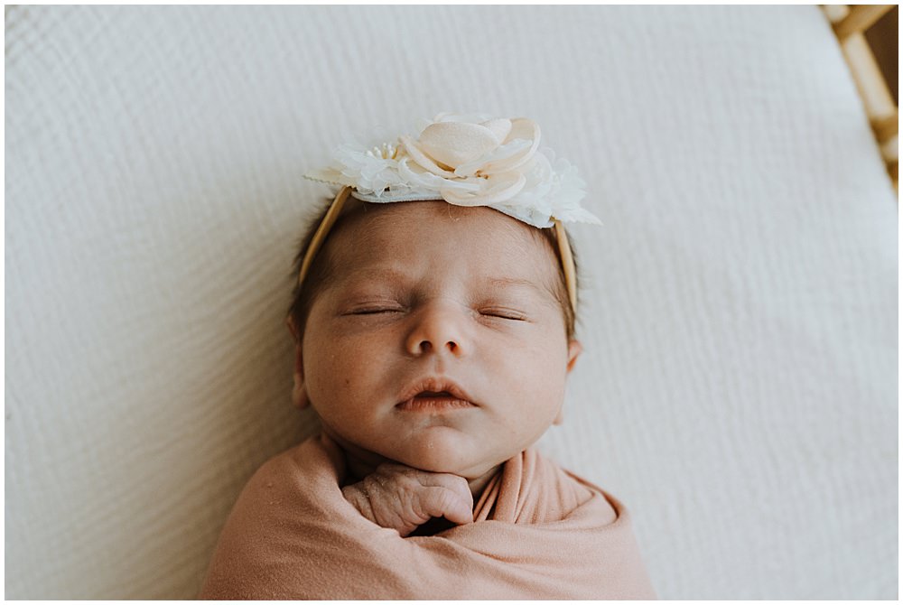 Royal Oak Studio Newborn Session
