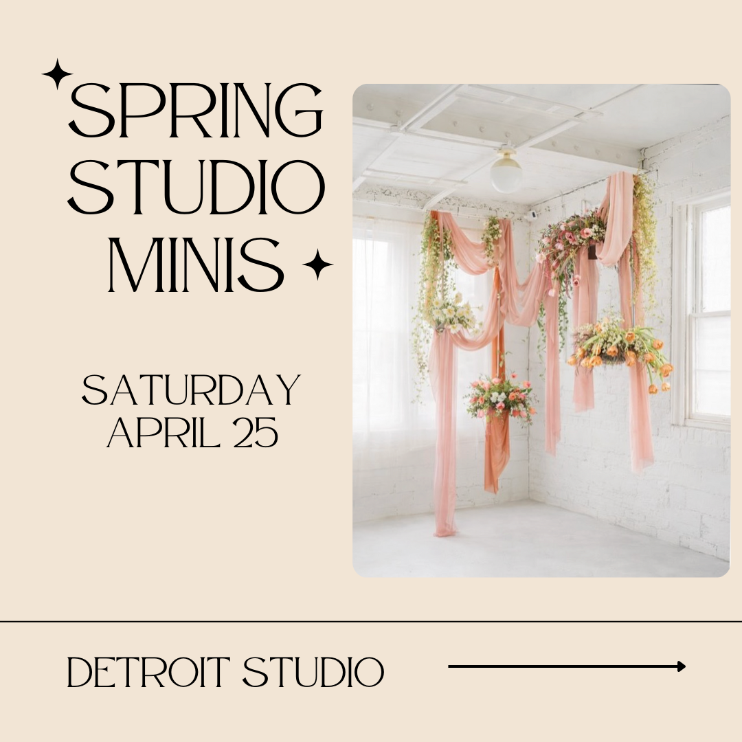 SPRING STUDIO MINIS