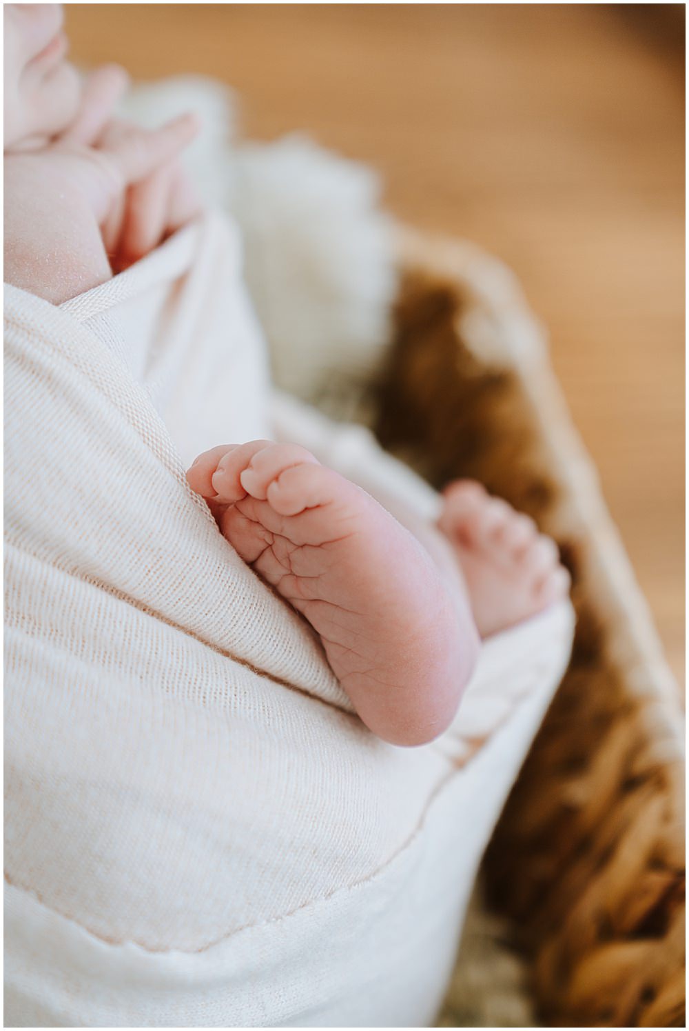 West Bloomfield Newborn Photographer