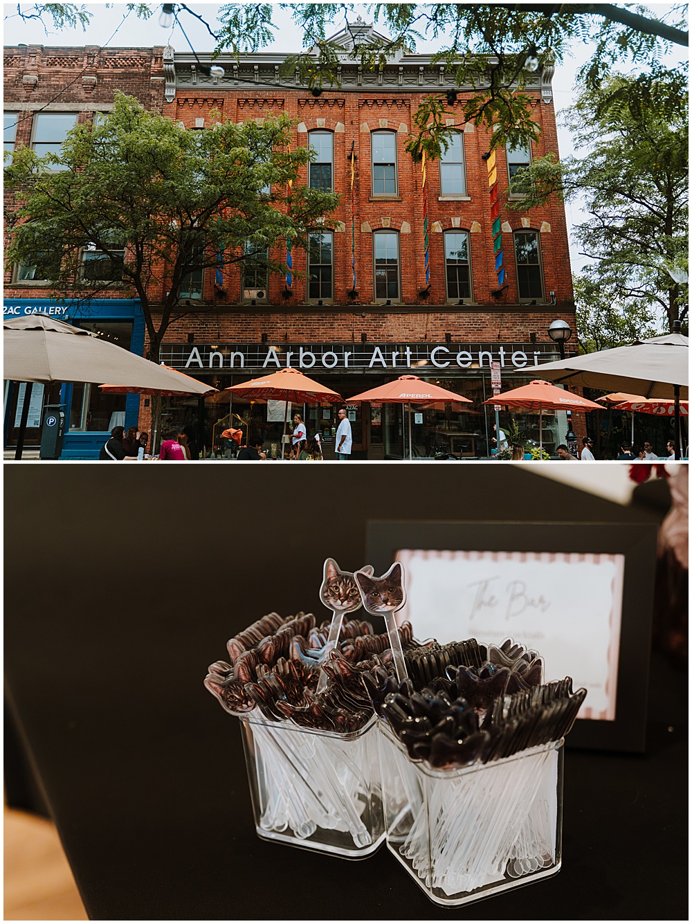 Ann Arbor Art Center Wedding Reception