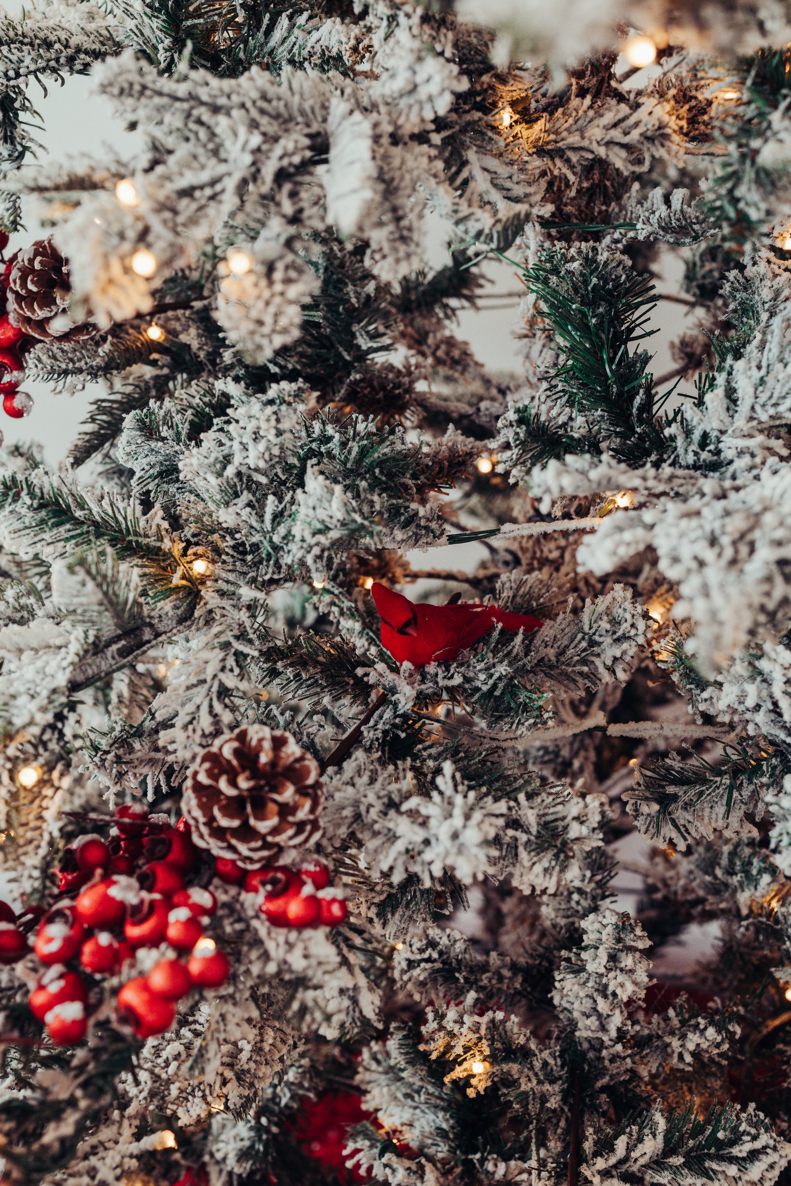 royal-oak-christmas-5